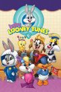 Baby Looney Tunes Season 1