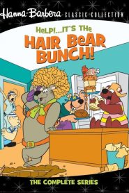 Help!… It’s the Hair Bear Bunch!